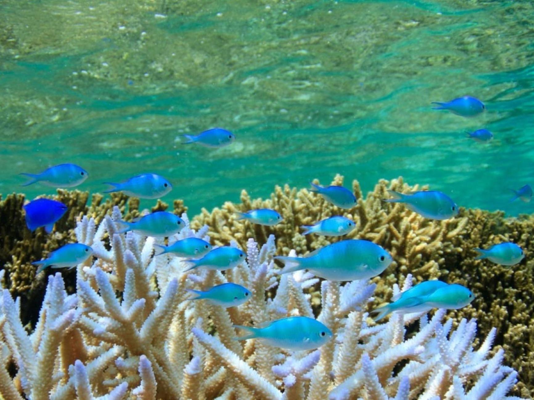 فندق شيجيرا ميراج Miyakojima  المظهر الخارجي الصورة